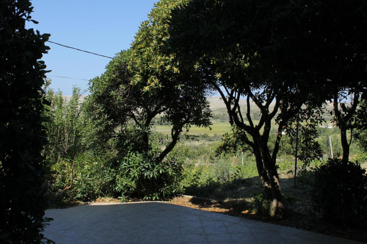 Family Friendly Seaside Apartments Vlasici, Pag - 4319 Bagian luar foto