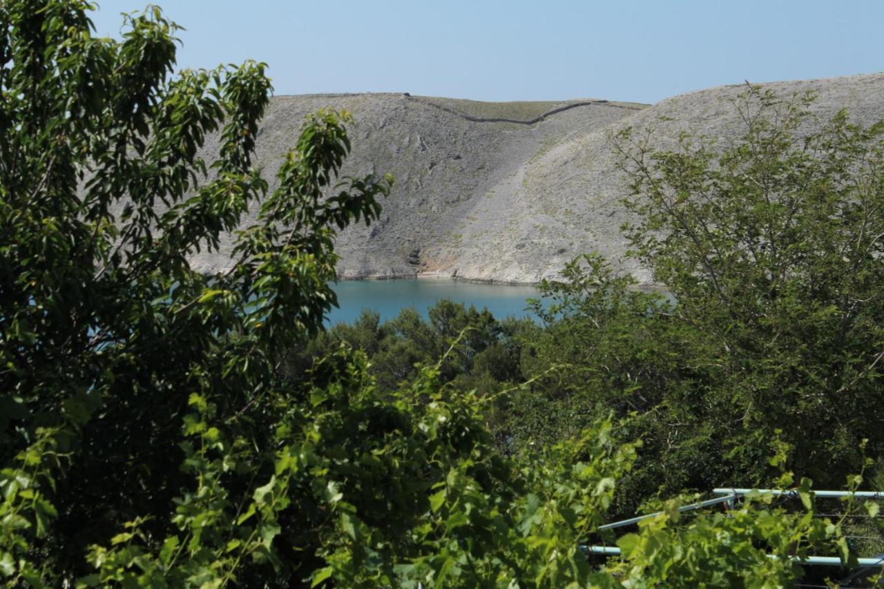 Family Friendly Seaside Apartments Vlasici, Pag - 4319 Bagian luar foto
